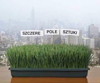 0.33 m2 of Pure Field of Art