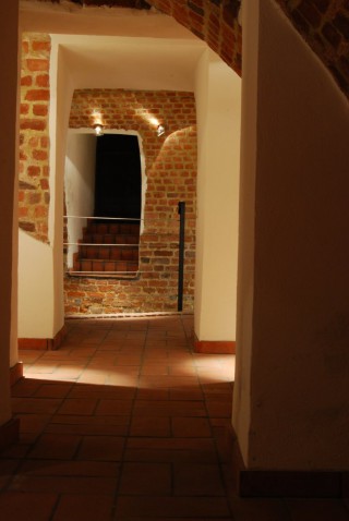 Średniowieczny zamek książęcy na Ostrowie Tumskim we Wrocławiu w świetle najnowszych badań