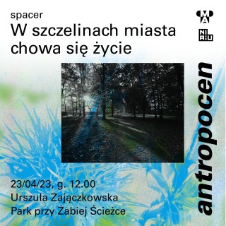 Antropocen: W szczelinach miasta chowa się życie