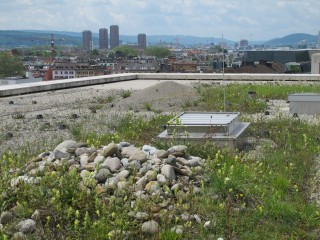 Antropocen: program wydarzeń